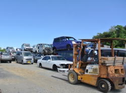 �̌��w�K�C���[�W